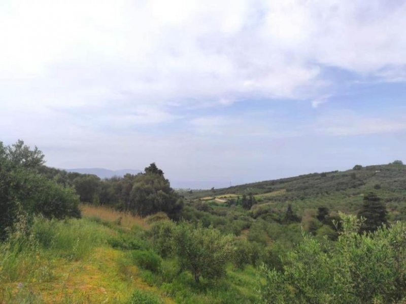 Kastellos bei Kournas Kreta, Kastellos: Grundstück mit Meerblick zu verkaufen Grundstück kaufen